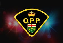 Rozbito grupę oszustów żerujących na emerytach