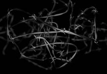 Kara za myślozbrodnie staje się w Kanadzie nową normą