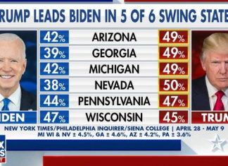 MATYSIAK: Trump szansą nie tylko Ameryki…