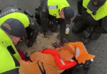 Ekoekstremizm w Kanadzie staje się rosnącym zagrożeniem