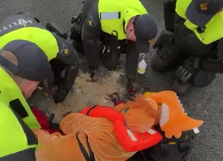 Ekoekstremizm w Kanadzie staje się rosnącym zagrożeniem