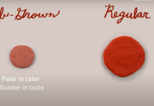 Poszczególne stany USA zakazują syntetycznego mięsa