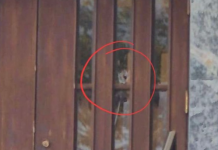 Kula przed żydowską szkołą w Montrealu