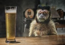 Michalkiewicz: Pogłośność jasna i agenci