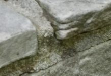 Michalinka: Na betonie kwiaty nie rosną