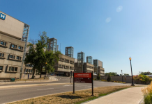 Tajemnicze śmierci po operacji migdałków w Hamilton