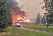 Pożar w Jasper winą ekologów?