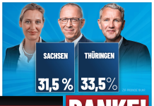 Historyczny sukces AfD