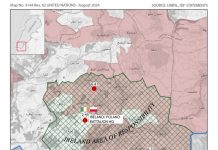 Polscy żołnierze ONZ pod izraelskim ostrzałem
