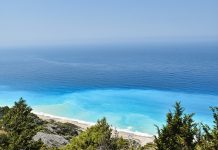 Padłe ptaki i martwe ryby w okolicy Wasaga Beach