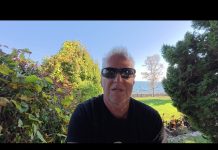 Kumor: Socjalizm z elektrycznym akcentem