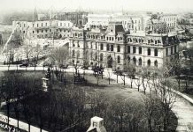 Bizon zamiast Królowej Wiktorii