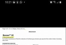 Bovaer atakuje krowie bekanie – można go stosować w Kanadzie