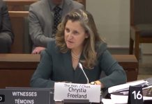 Freeland na lidera Partii Liberalnej?