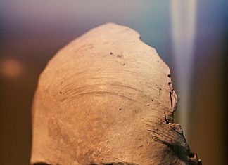 Farmus: Wciskanie w oczy kitu