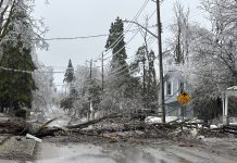 Stan wyjątkowy w Peterborough, Orillia i Muskoka