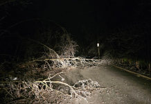 Marznący deszcz poczynił spustoszenia w Ontario, wiele domów bez prądu