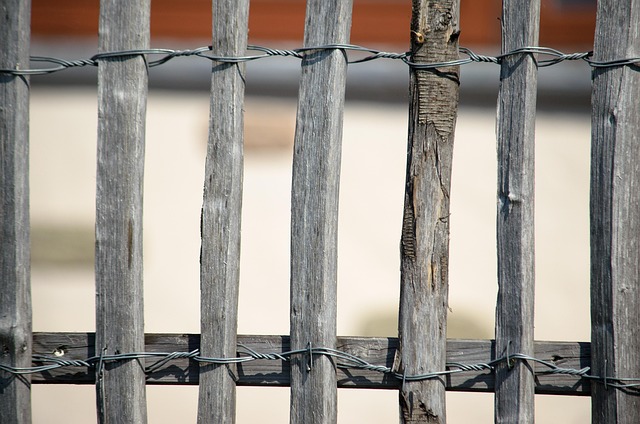 fence-5093620_640