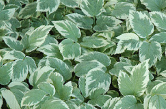 Screenshot 2025-09-05 114519