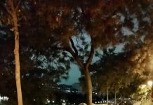 Z cyklu NASZE LOSY – Dziennik Leszka Dacko: Murek