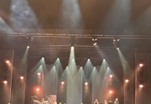 Z cyklu NASZE LOSY – Dziennik Leszka Dacko: Nasza Pani