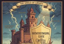 Marco Navarro-Genie: Artykuł 33 – ostatnia deska ratunku chroniąca demokrację