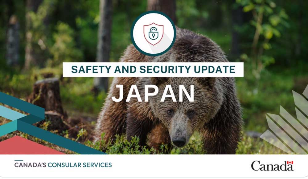 Kanada ostrzega turystów jadących do Japonii przed niedźwiedziami