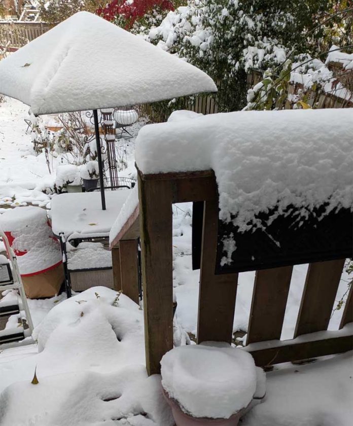 Screenshot 2025-11-24 100127 copy