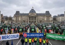 Legieć: Protesty rolników i co z tego wynikło. Zatonięcie utopii na krzywych nogach !