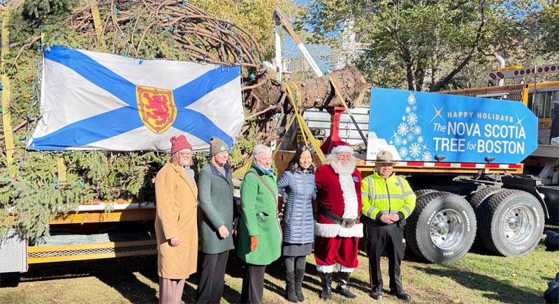 Pamięć o dobrym uczynku trwa na wieki – Choinka z Nowej Szkocji dla Bostonu