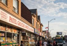 Gangi rządzą w Brampton