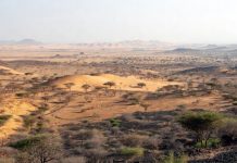 Somaliland – nowa kolonia Izraela?
