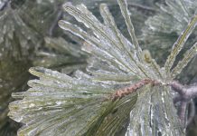 Burze śnieżne w Ontario pozbawiły prądu wielu mieszkańców