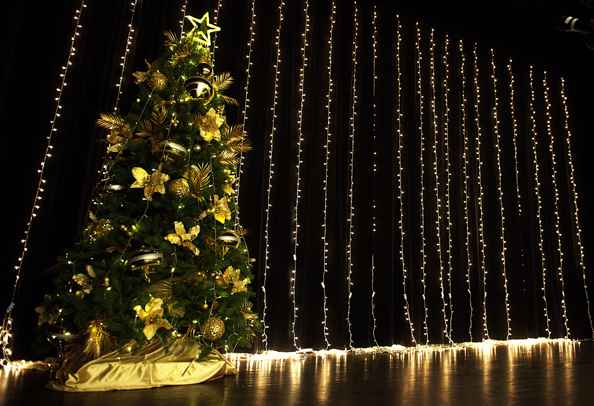 Polonijne Kolędowanie w obiektywie Piotra Figury