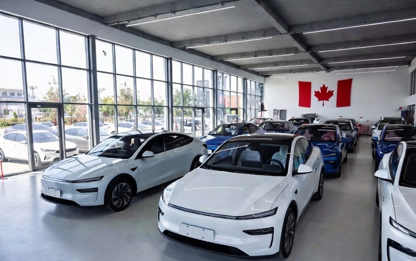 W zamian za rzepak, chińskie elektryki. Carney: Relacje z Chinami są „bardziej przewidywalne” niż z USA