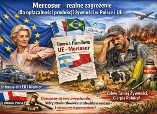Mercosur – realne zagrożenie dla opłacalności produkcji żywności w Polsce i UE.