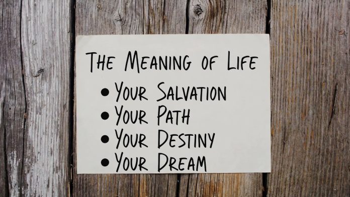 13f6d62e-e4ec-45bd-87e0-82f692d4746f