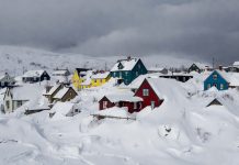 Nowa Fundlandia nie może się odkopać