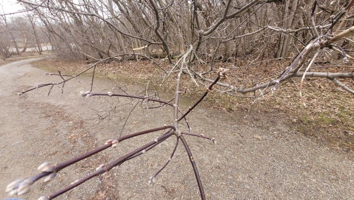 654856634_10164472775523311_5696323422973256529_n