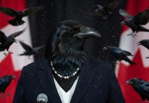 Gladu weszła między wrony musi krakać jak one