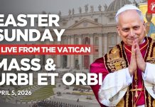 Papież Leon XIV zachowajcie nadzieję w obliczu śmierci