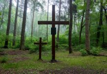 Psychologia w codziennym życiu: Kiedy pamięć woła głośniej niż polityka