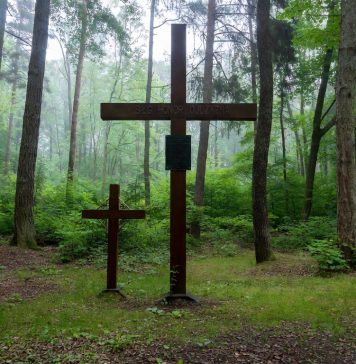 Psychologia w codziennym życiu: Kiedy pamięć woła głośniej niż polityka