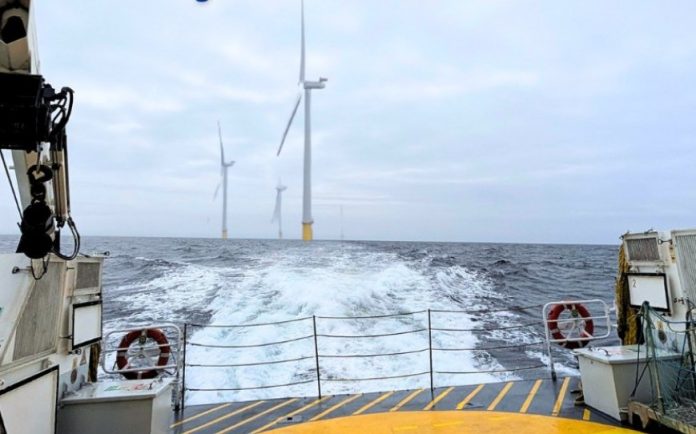 baltic Power