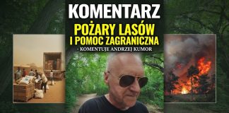 Pomoc zagraniczna i pożary lasów – komentuje Andrzej Kumor