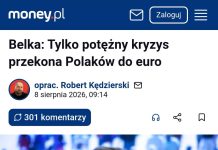 Belka: Tylko potężny kryzys przekona Polaków do euro…