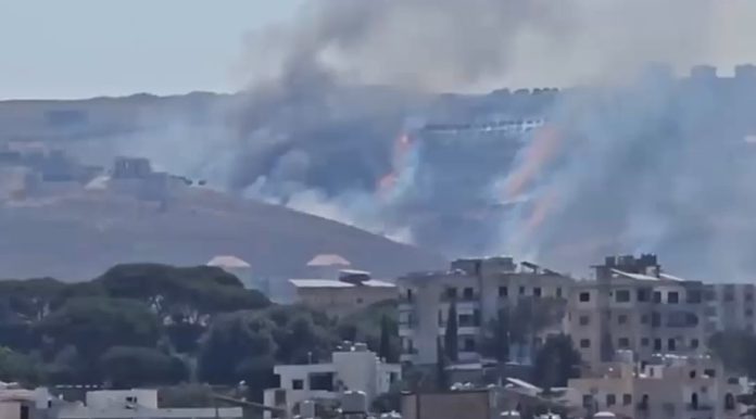 pozary liban