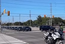 W Toronto Zełeński spotkał się z ukraińską diasporą