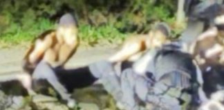 Terroryści wyszli za kaucją
