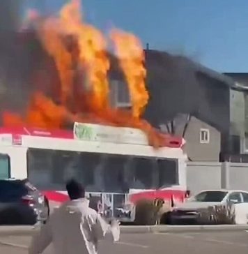 Trzy osoby zginęły w Calgary w karambolu z udziałem miejskiego autobusu